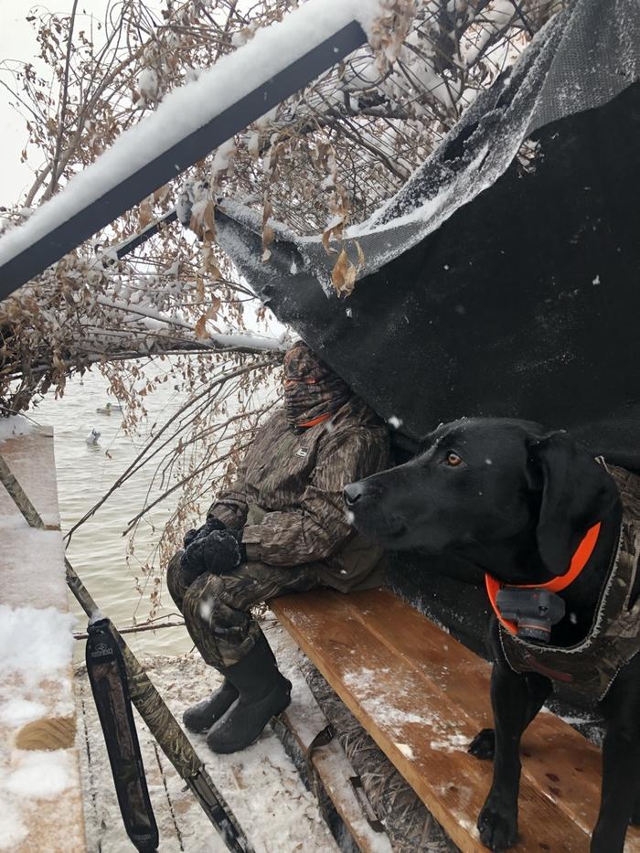 Duck Blind